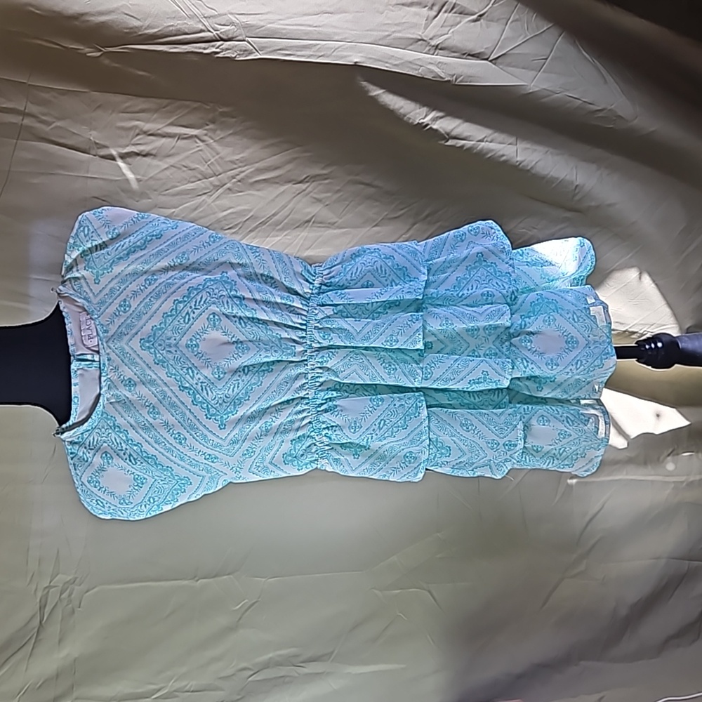 Place girls dress size medium